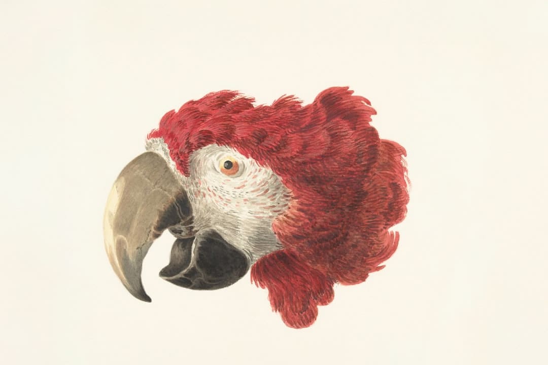 http://upload.mnw.cn/2025/0825/1756083938381.png